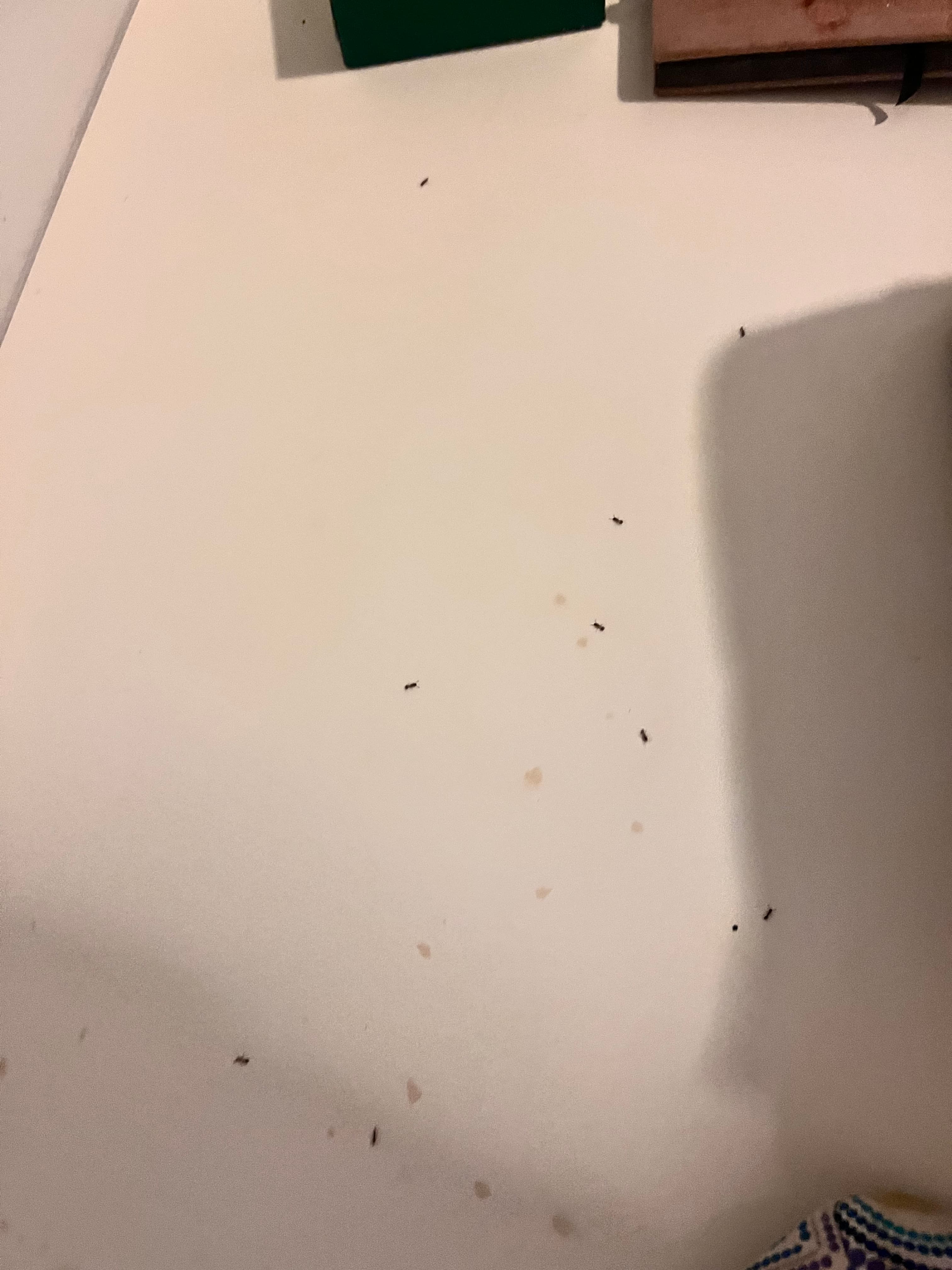 Complaint image 1