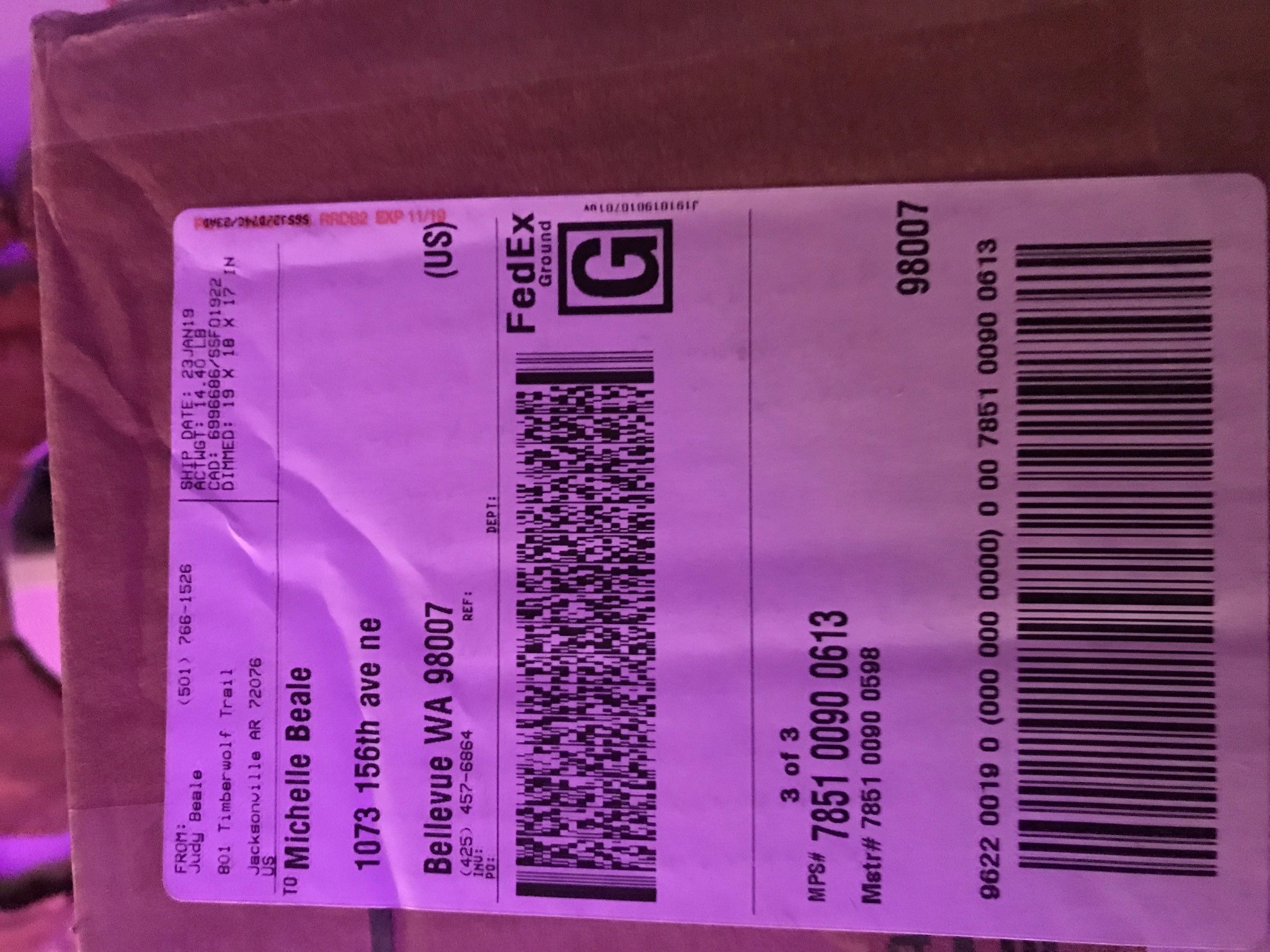 FedEx Customer Service Complaints Department | HissingKitty.com